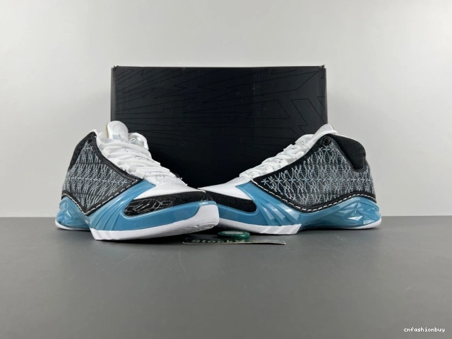 318376-041 UNC 23 Jordan 1004
